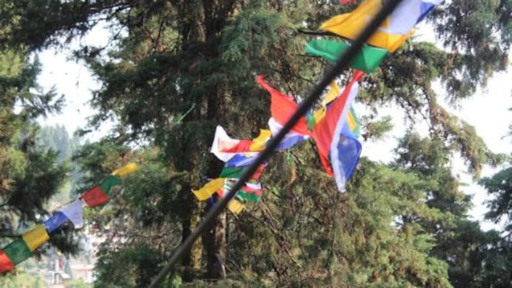 mussoorie_ziplining _1